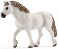 Welsh poni -kobila