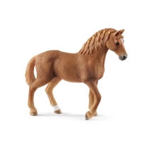 Quarter konj kobila