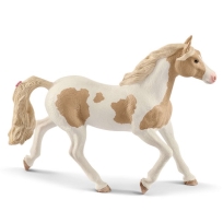 Paint konj kobila