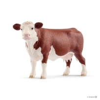 Hereford krava