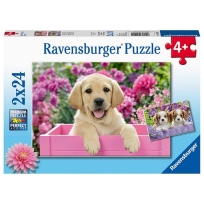 Ravensburger puzzle (slagalice) - Kucici