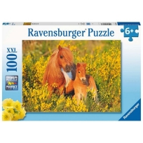 Ravensburger puzzle (slagalice) - Shetland Pony