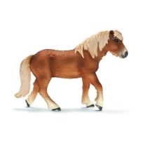 Islandski poni, kobila