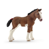 Clydesdale zdrebe