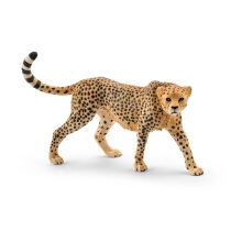 Gepard zenka