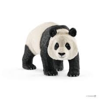 Velika panda, muzijak