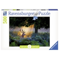 Ravensburger puzzle (slagalice) - Magicna scena
