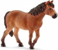 Dartmoor poni kobila