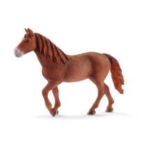 Morgan konj kobila
