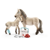 Set konja sa medicinskom opremom