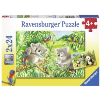 Ravensburger puzzle (slagalice)-  Koale I pande