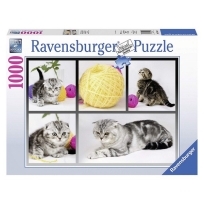 Ravensburger puzzle (slagalice) - Znatizeljni macici
