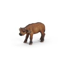 Tele africkog bizona